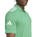 Polo SQUADRA 25 team green/white