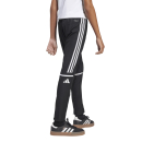 Youth Presentation Pant SQUADRA 25 black/white