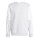 Sweat SQUADRA 25 team light grey/white