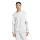 Sweat SQUADRA 25 team light grey/white