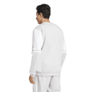 Sweat SQUADRA 25 team light grey/white