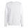 Sweat SQUADRA 25 team light grey/white