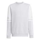 Youth Sweat SQUADRA 25 team light grey/white