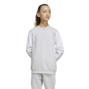 Youth Sweat SQUADRA 25 team light grey/white