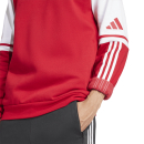 Hoodie SQUADRA 25 rot/weiß