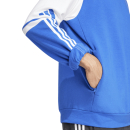 Hoodie SQUADRA 25 royalblau/weiß