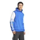 Hoodie SQUADRA 25 royalblau/weiß