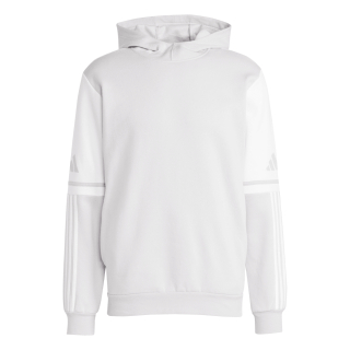 Hoody SQUADRA 25 team light grey/white