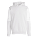 Hoodie SQUADRA 25 hellgrau/weiß