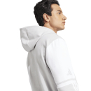 Hoody SQUADRA 25 team light grey/white
