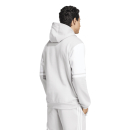 Hoody SQUADRA 25 team light grey/white