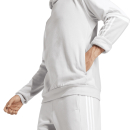 Hoody SQUADRA 25 team light grey/white