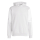 Hoody SQUADRA 25 team light grey/white