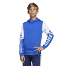 Youth Hoody SQUADRA 25 team royal blue/white