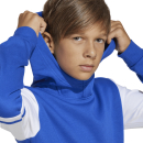 Youth Hoody SQUADRA 25 team royal blue/white