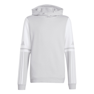 Youth Hoody SQUADRA 25 team light grey/white