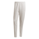 Sweat Pant SQUADRA 25 team light grey/white