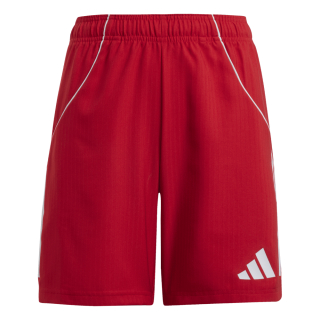 Youth-Short TIRO 25 COMPETITION MATCH team power red