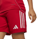 Youth-Short TIRO 25 COMPETITION MATCH team power red