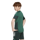 Kinder-Trikot TIRO 25 COMPETITION dunkelgrün