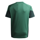 Kinder-Trikot TIRO 25 COMPETITION dunkelgrün