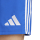 Short TASTIAGO 25 team royal blue