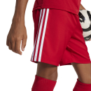 Youth-Short TASTIAGO 25 team power red