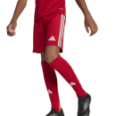 Youth-Short TASTIAGO 25 team power red