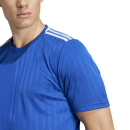 Trikot CAMPEON 25 royalblau/weiß
