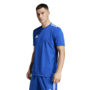 Trikot CAMPEON 25 royalblau/weiß