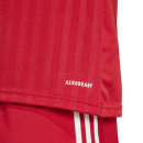 Jersey CAMPEON 25 team power red/white