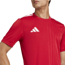 Jersey CAMPEON 25 team power red/white