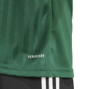 Jersey CAMPEON 25 team dark green/white