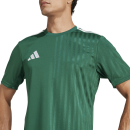 Trikot CAMPEON 25 dunkelgrün/weiß