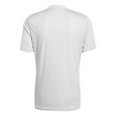 Trikot CAMPEON 25 hellgrau/weiß