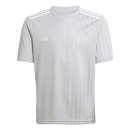 Youth-Jersey CAMPEON 25 team light grey/white