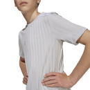 Youth-Jersey CAMPEON 25 team light grey/white