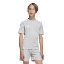 Youth-Jersey CAMPEON 25 team light grey/white