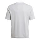 Youth-Jersey CAMPEON 25 team light grey/white