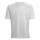 Youth-Jersey CAMPEON 25 team light grey/white