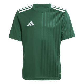Youth-Jersey CAMPEON 25 team dark green/white