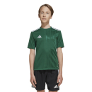Youth-Jersey CAMPEON 25 team dark green/white