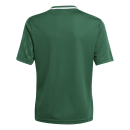Youth-Jersey CAMPEON 25 team dark green/white