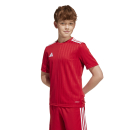 Youth-Jersey CAMPEON 25 team power red/white