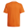 Youth-Jersey CAMPEON 25 team orange/white