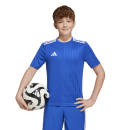 Youth-Jersey CAMPEON 25 team royal blue/white