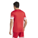 Jersey SQUADRA 25 team power red/white