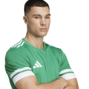 Jersey SQUADRA 25 team green/white