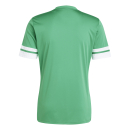 Trikot SQUADRA 25 grün/weiß