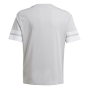 Youth-Jersey SQUADRA 25 team light grey/white
